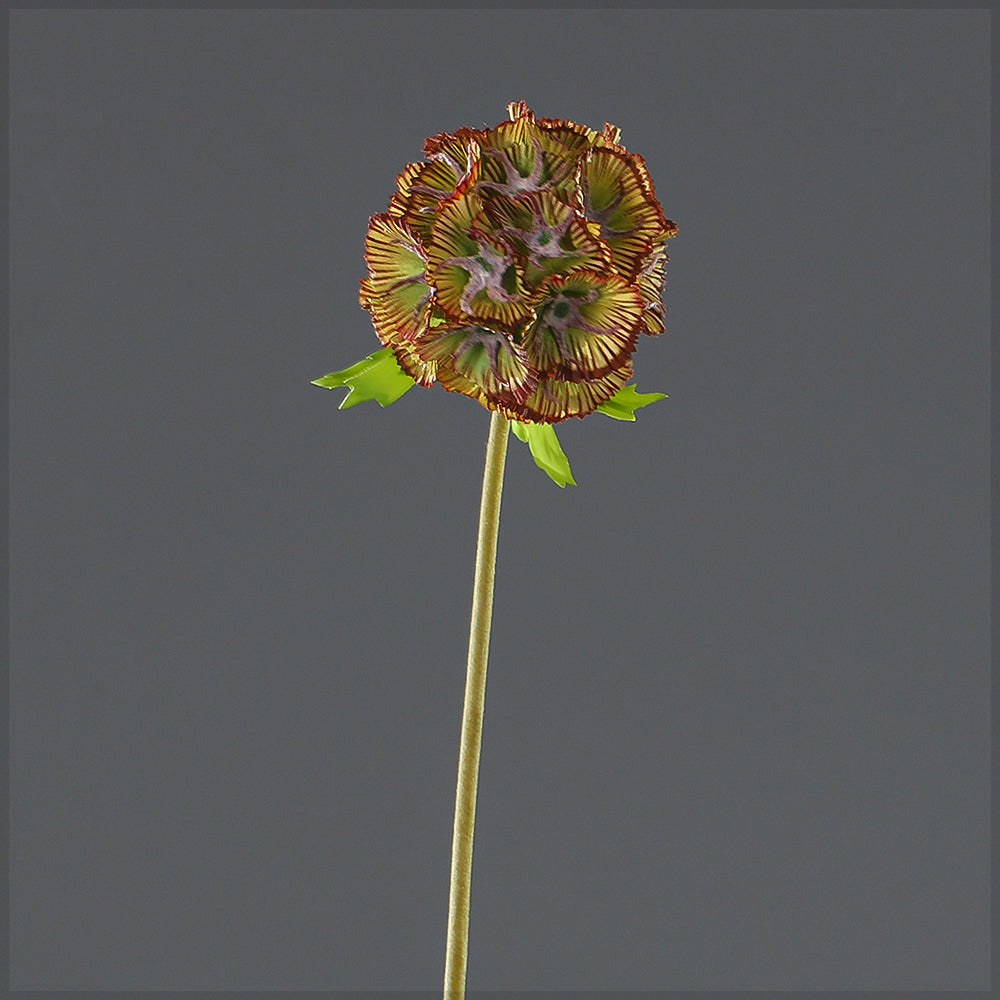 Artificial Scabiosa Pods Flower Stem