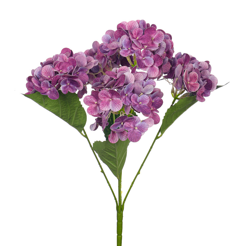 زهرة كوبية طبيعية ثلاثية الأبعاد (بدون مزهرية)