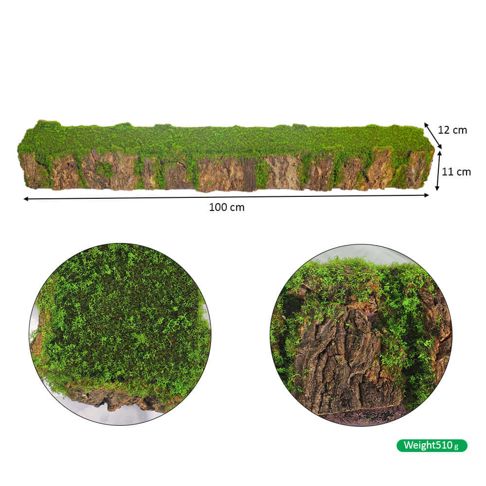 Decorative Rectangular Mossy Tree Stump