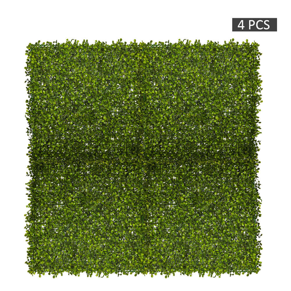 Topiary Hedge Plant