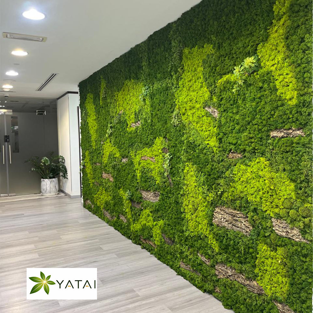 Moss Wall Installation in Dubai for display purposes only (non-sale)