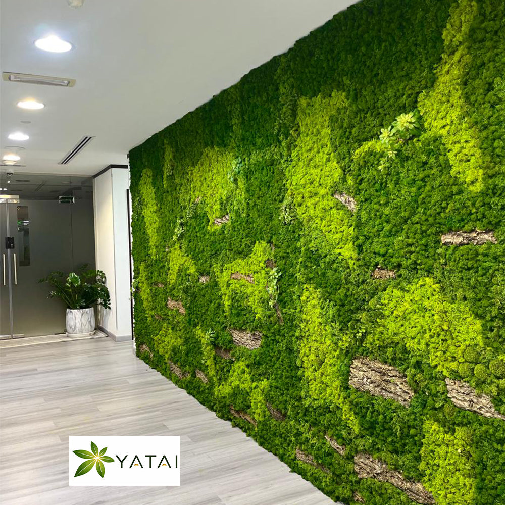 Moss Wall Installation in Dubai for display purposes only (non-sale)