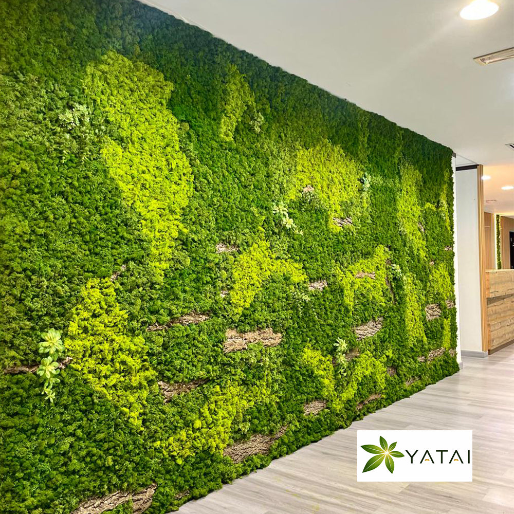 Moss Wall Installation in Dubai for display purposes only (non-sale)