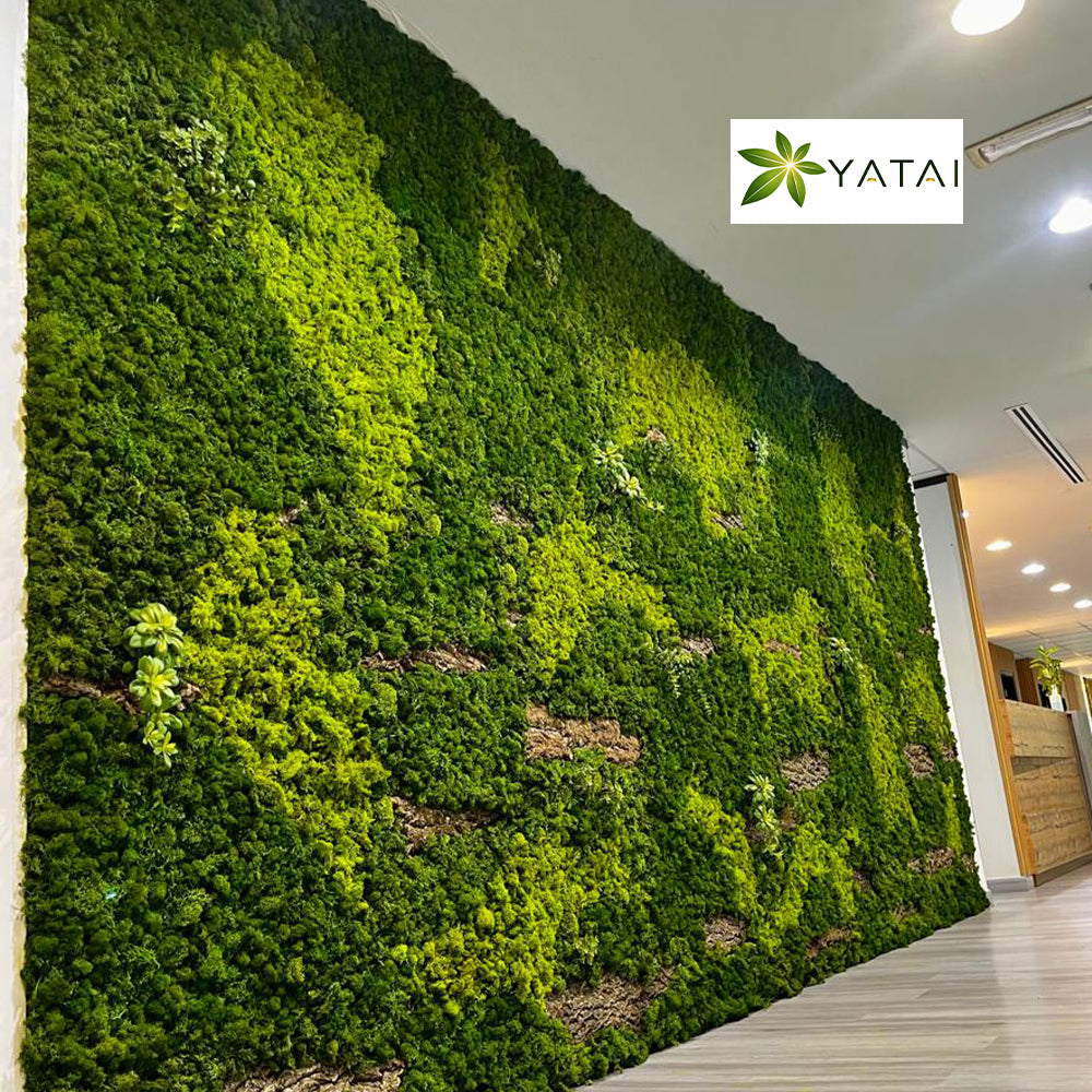 Moss Wall Installation in Dubai for display purposes only (non-sale)