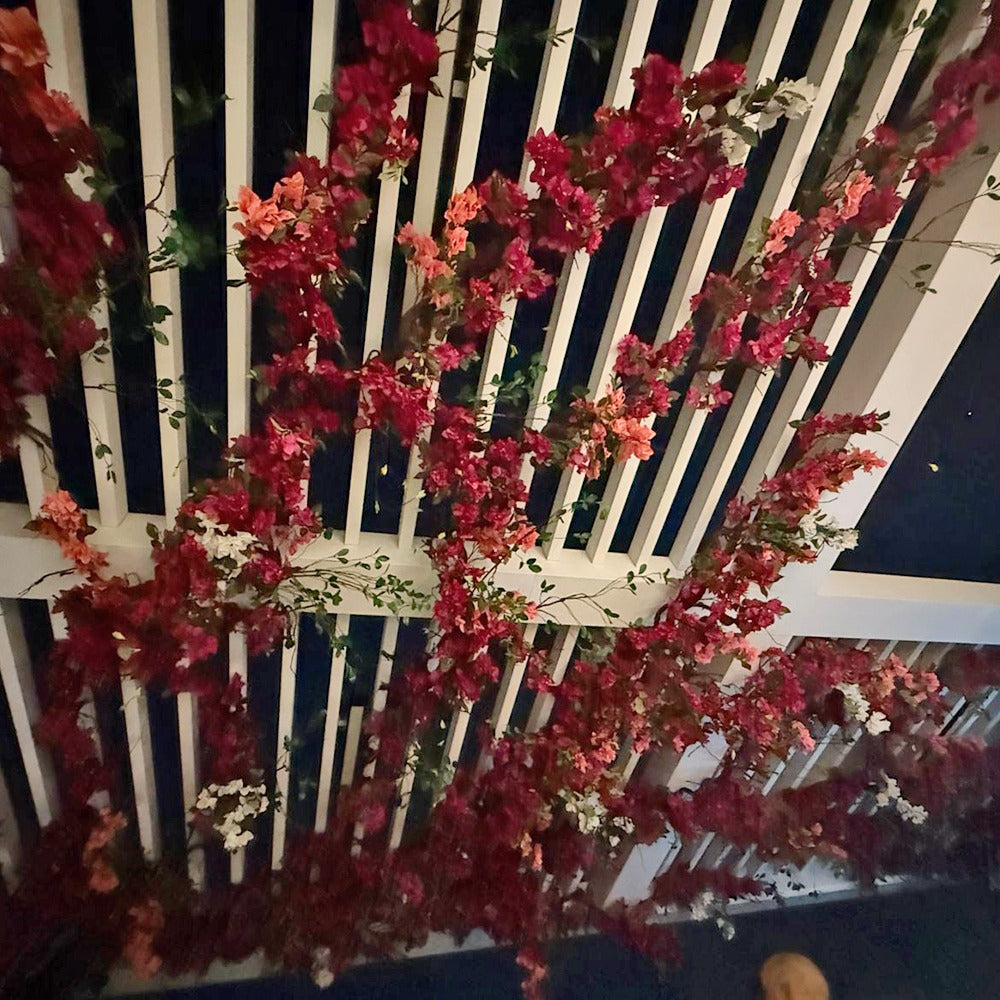 مظلة البوغنفيليا للعرض فقط (غير معروض للبيع)