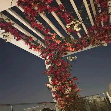 مظلة البوغنفيليا للعرض فقط (غير معروض للبيع)