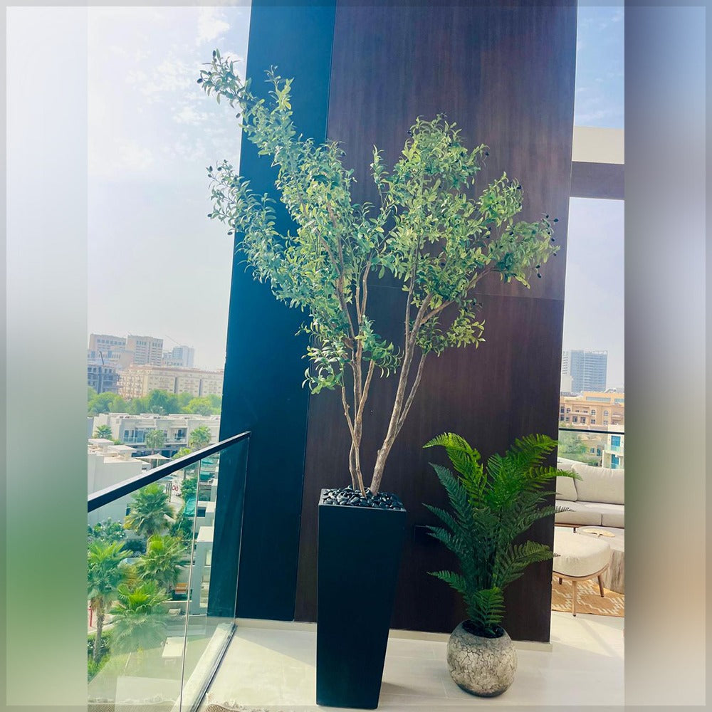 نباتات داخلية أنيقة للديكور للعرض فقط (غير معروض للبيع)