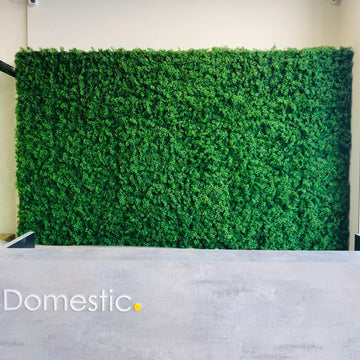 Front Office Grass Wall Panels for display purposes only (non-sale)