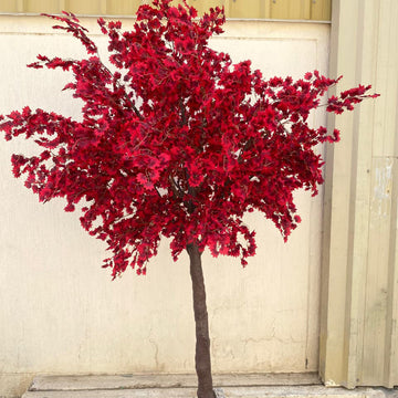 أناقة القرمزي 🌿❤️