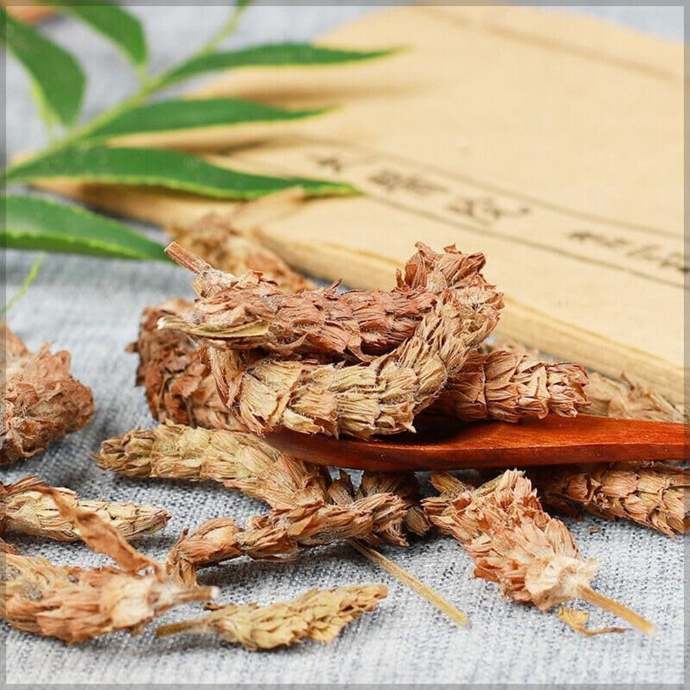 Natural Dried Pine Cones Potpourri