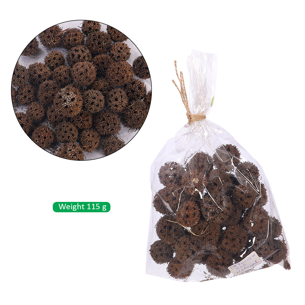 Natural Dried Spiky Seed Pods