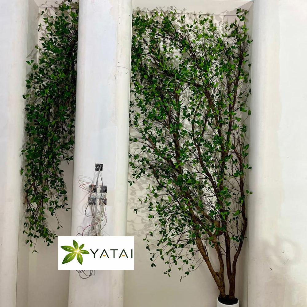 🌿 ديكور أشجار صناعية أنيقة للمساحات العصرية للعرض فقط (غير معروض للبيع)