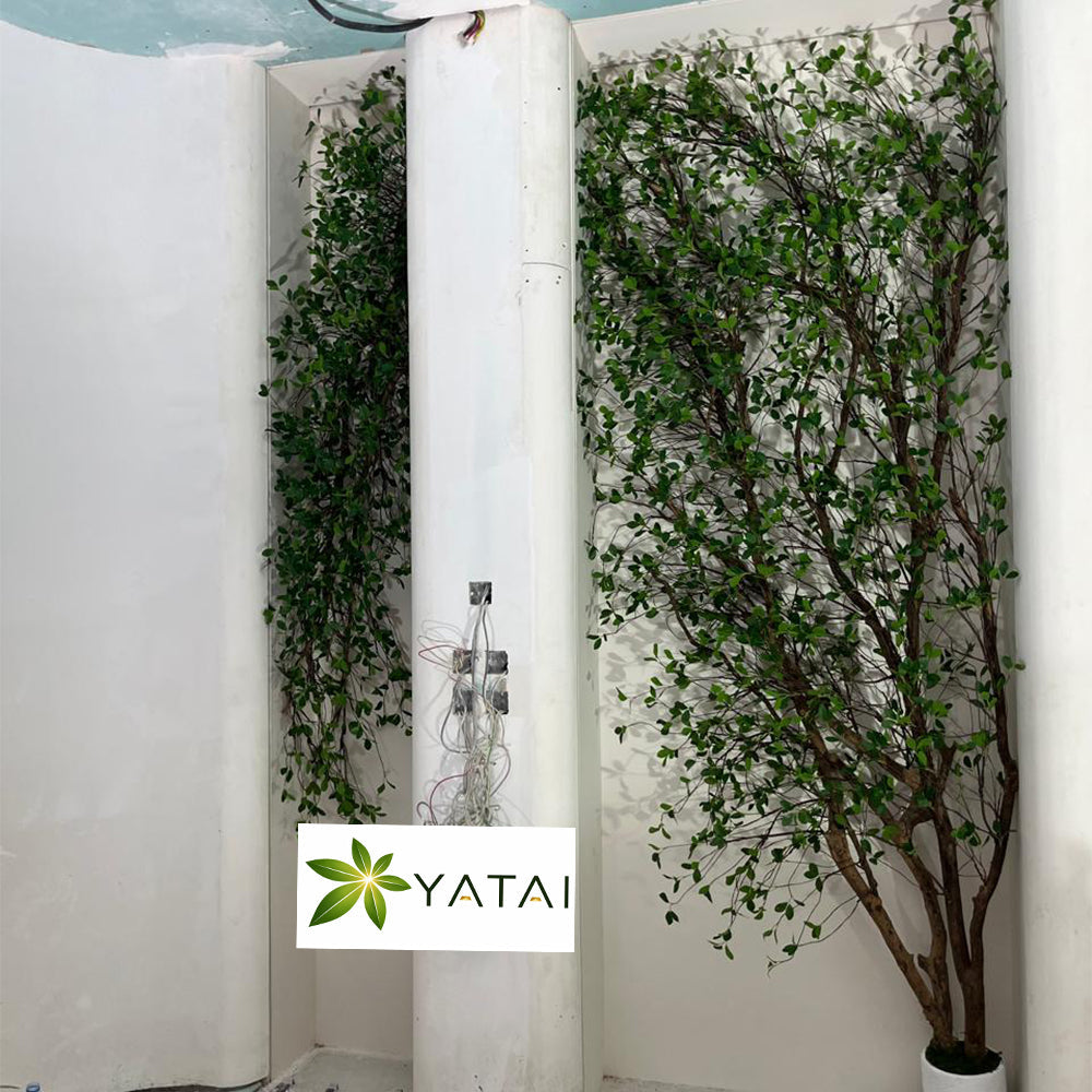 🌿 ديكور أشجار صناعية أنيقة للمساحات العصرية للعرض فقط (غير معروض للبيع)
