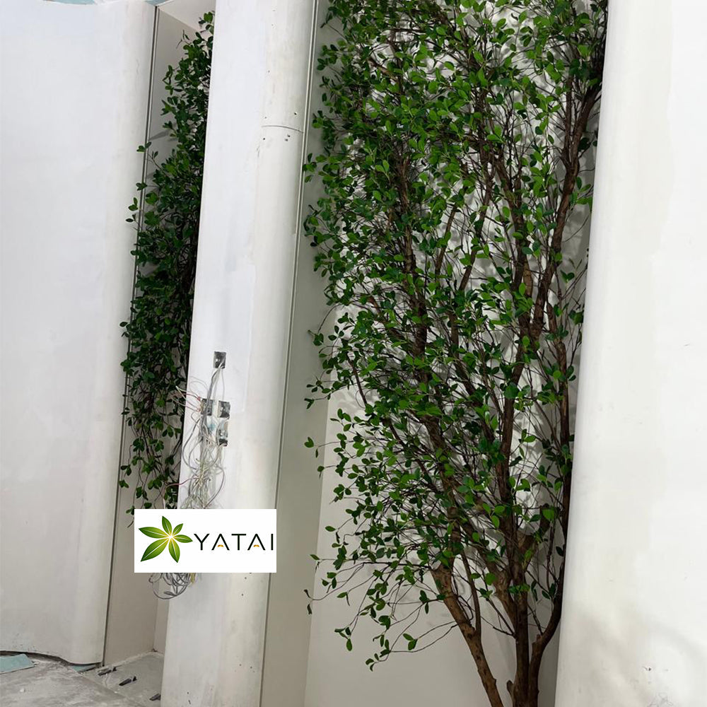 🌿 ديكور أشجار صناعية أنيقة للمساحات العصرية للعرض فقط (غير معروض للبيع)
