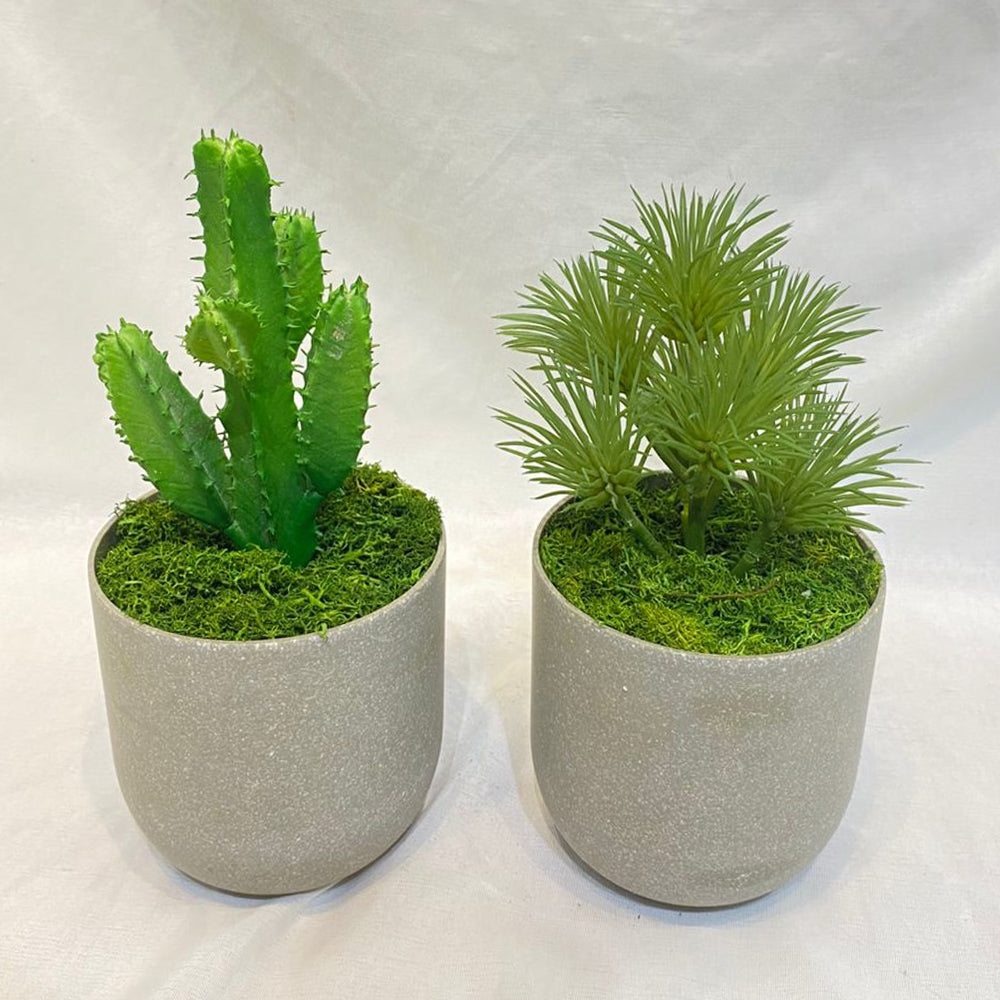 🌿 Elegant Marble Faux Succulent Planter Collection | Modern Green Décor