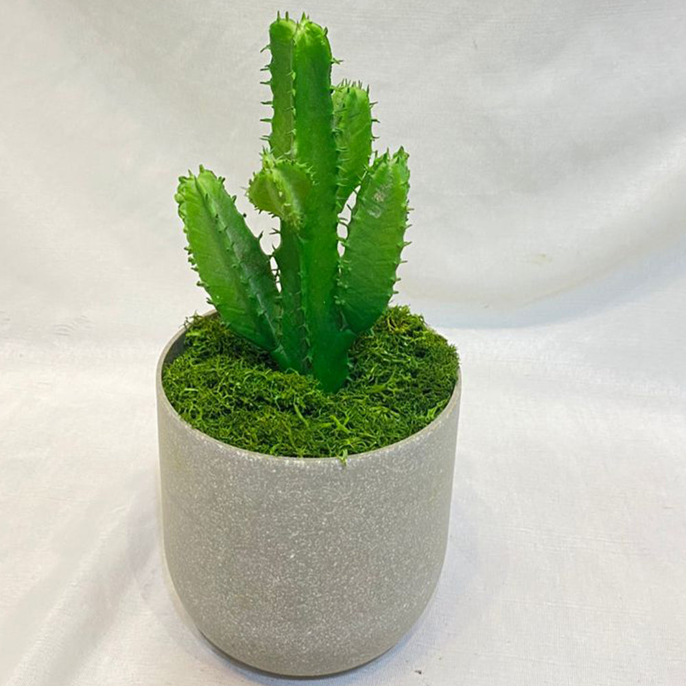 🌿 Elegant Marble Faux Succulent Planter Collection | Modern Green Décor