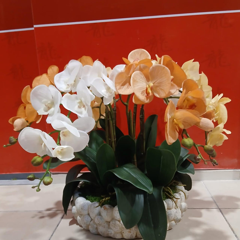 Elegant Orchid Harmony  for display purposes only (non-sale)