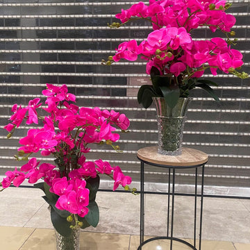Elegant Pink Orchid Floral Arrangement  for display purposes only (non-sale)