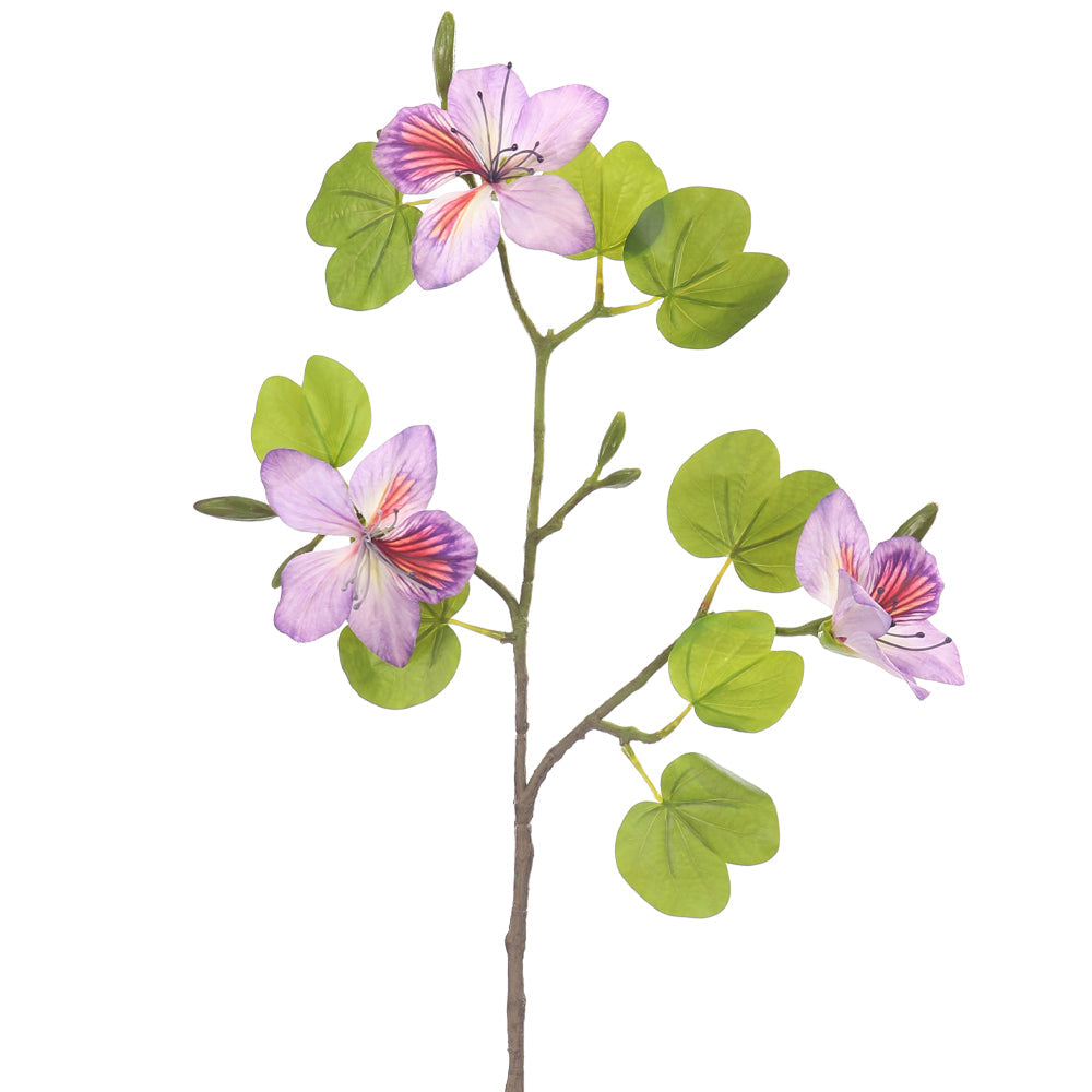 غصن واحد من زهور الباوهينيا الصناعية (بدون مزهرية)