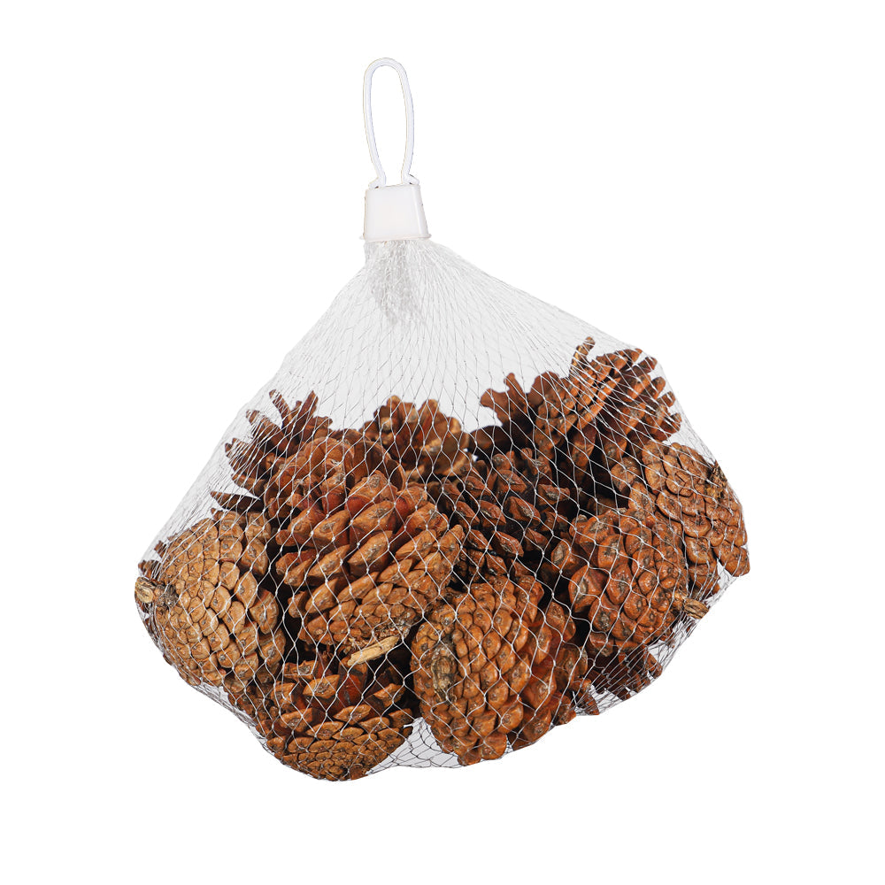 1 Bag Dried Pine Cones
