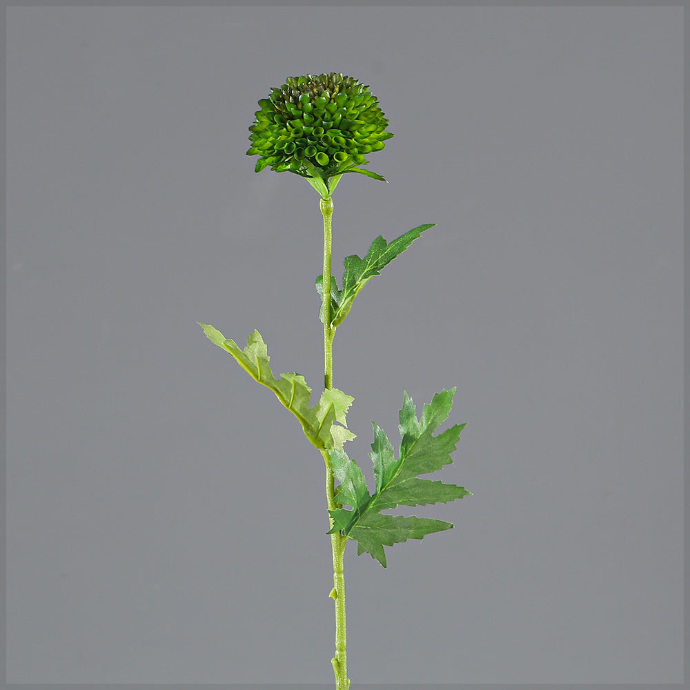 Single Stem Emerald Pom Bloom