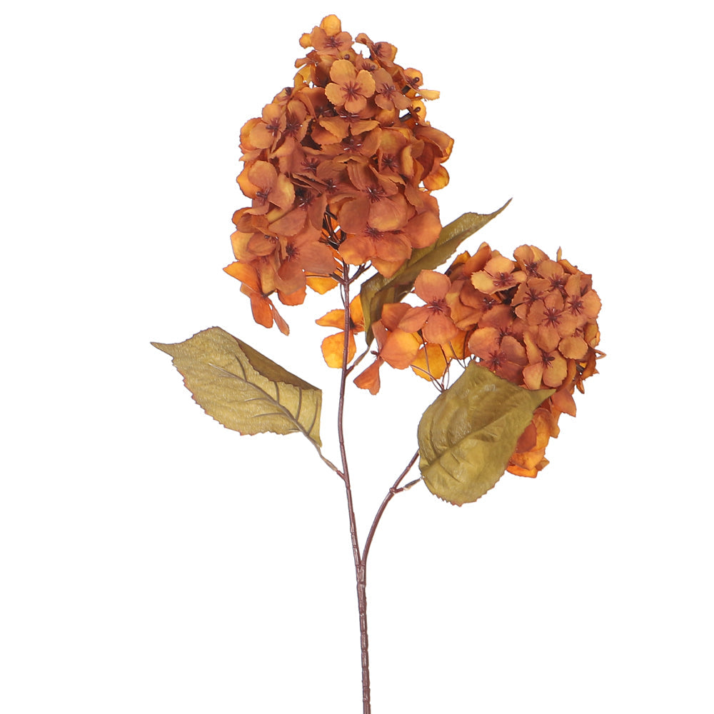 Single Stem  Hydrangea Flower without Vase