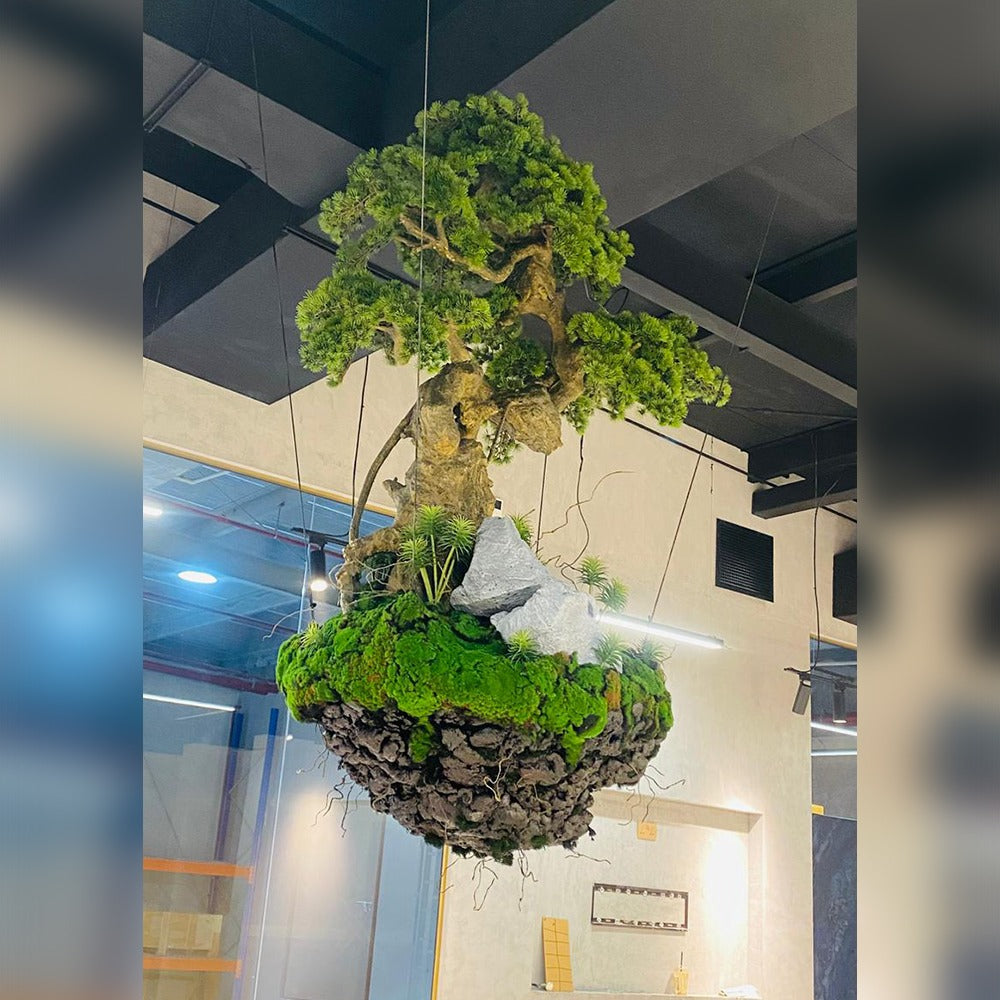 هدوء عائم مع بستان عمودي للعرض فقط (غير معروض للبيع)