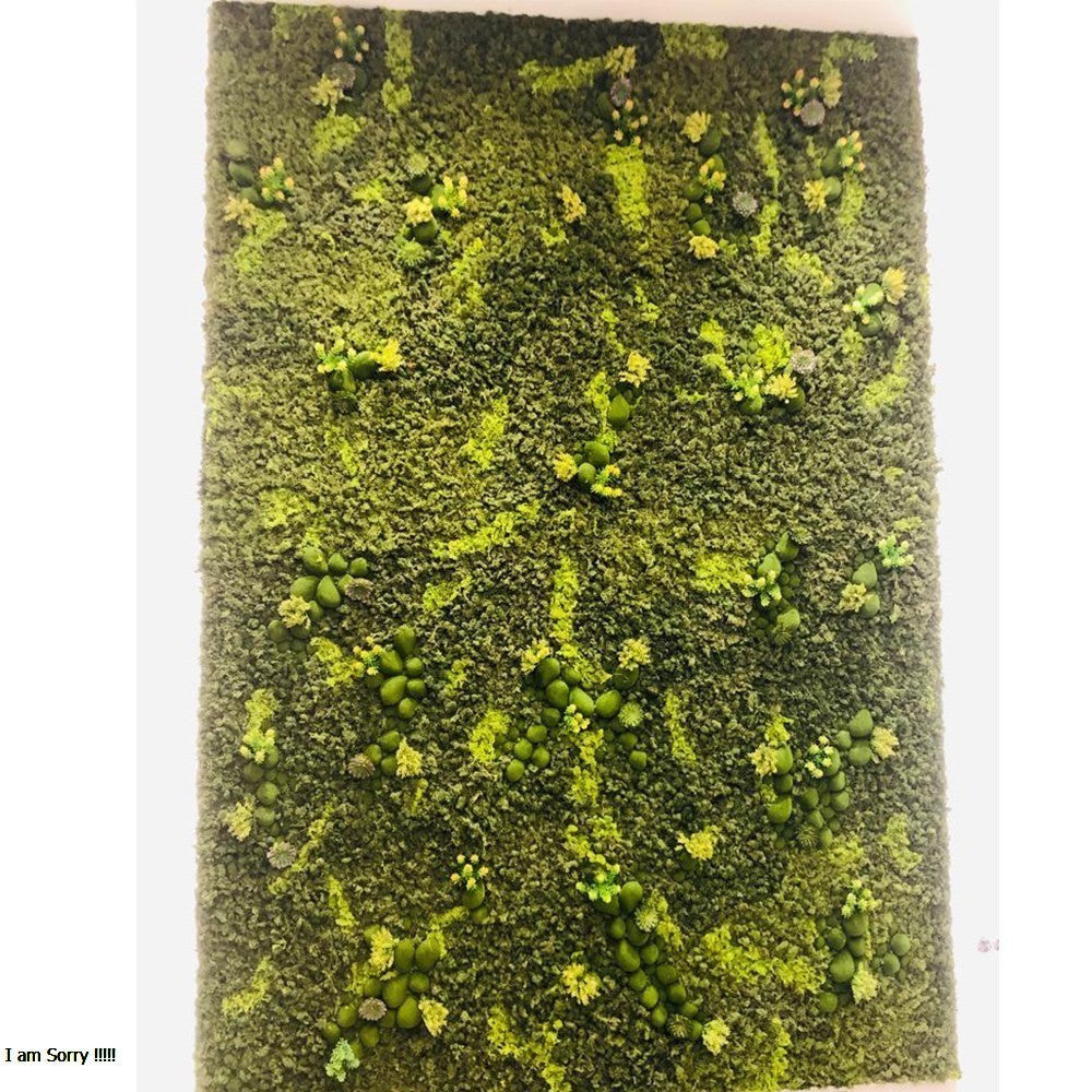 Office Fresh Moss Wall Arrangement  for display purposes only (non-sale)