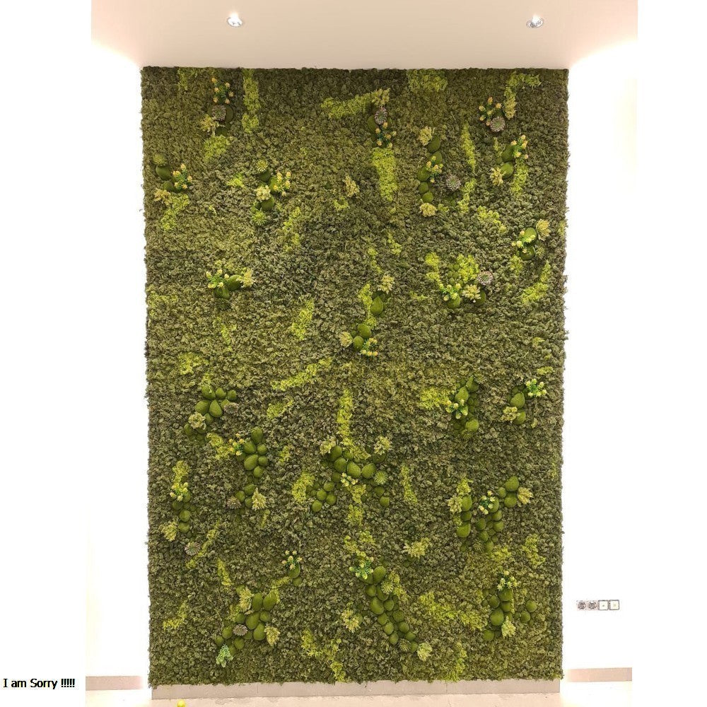 Office Fresh Moss Wall Arrangement  for display purposes only (non-sale)
