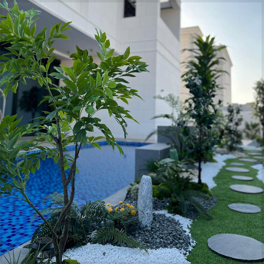 من العراء إلى الروعة 🌿✨ للعرض فقط (غير معروض للبيع)
