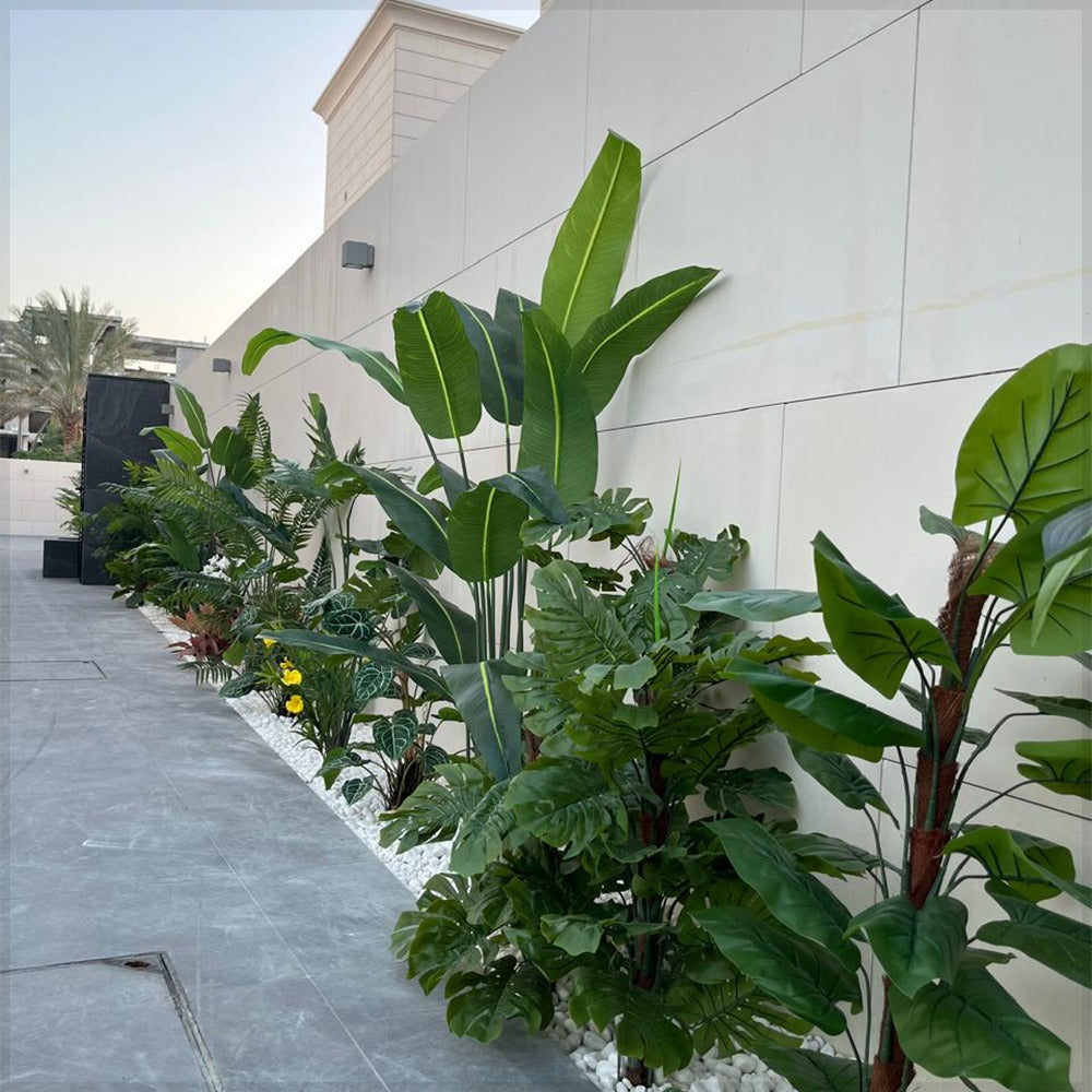 من العراء إلى الروعة 🌿✨ للعرض فقط (غير معروض للبيع)