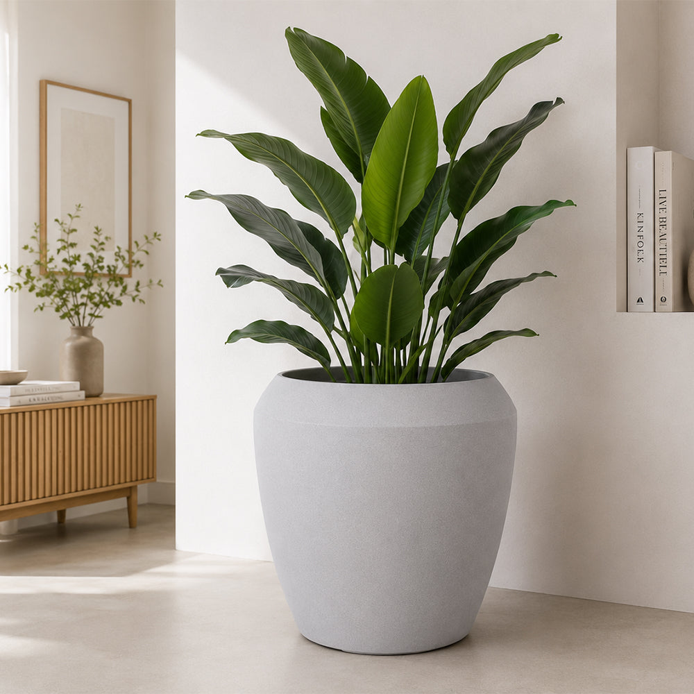 Modern Round Plastic Planter Pot