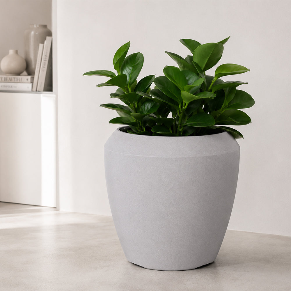 Modern Round Plastic Planter Pot