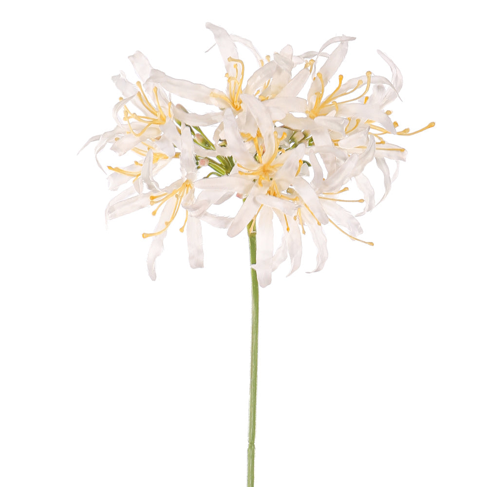 Single Stem Artificial Spider Lily Flowers(without vase)