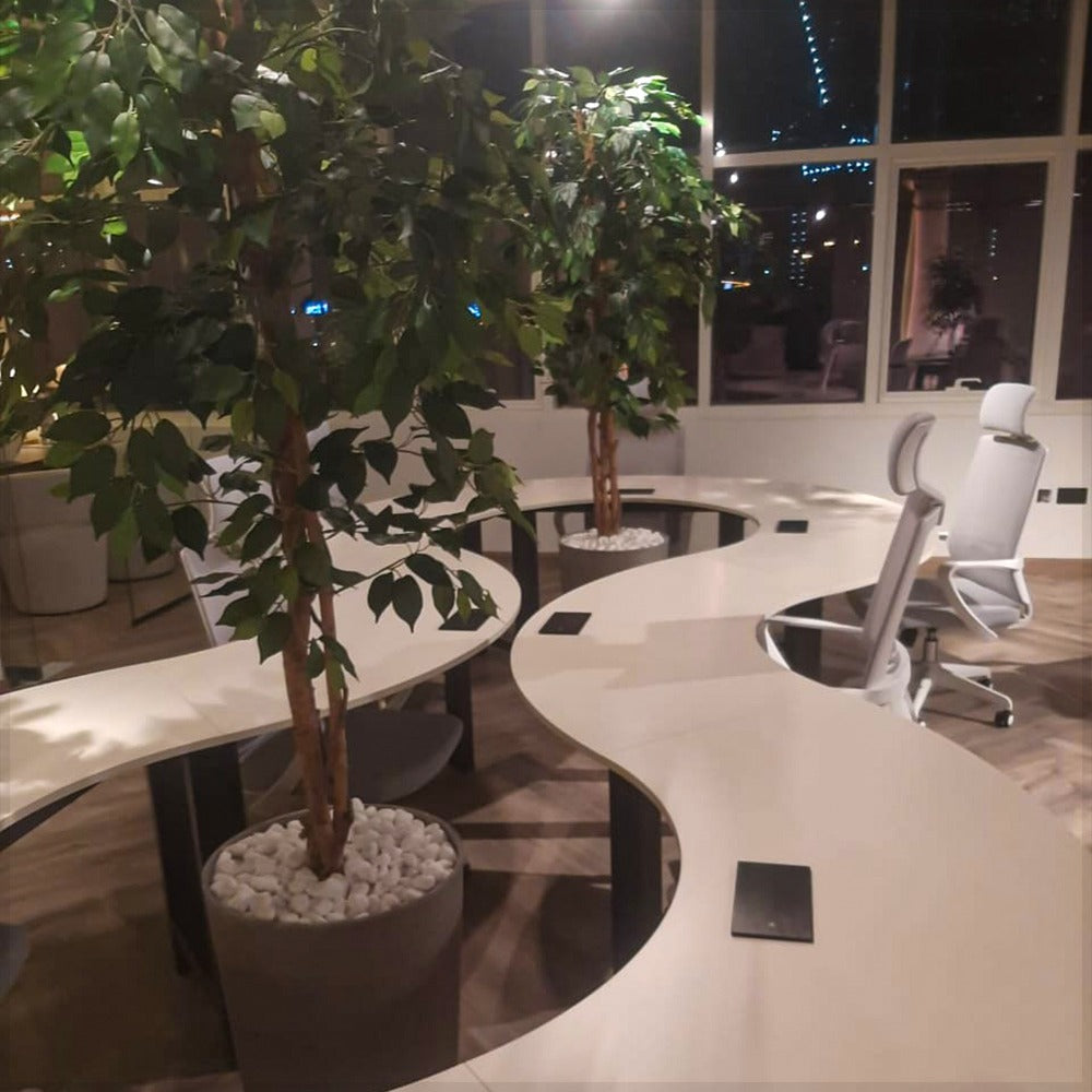 مساحة عمل تعاونية بنواة خضراء للعرض فقط (غير معروض للبيع)