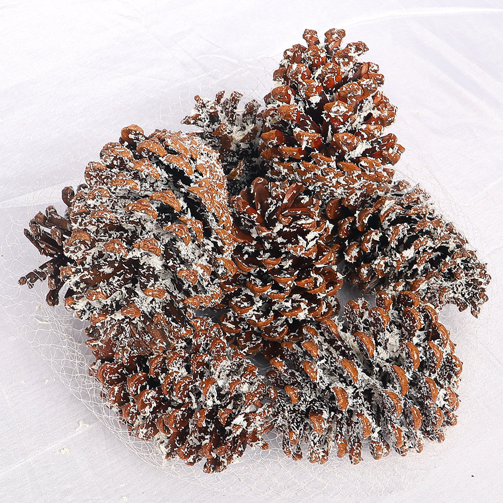 Snow-Dusted Pinecone