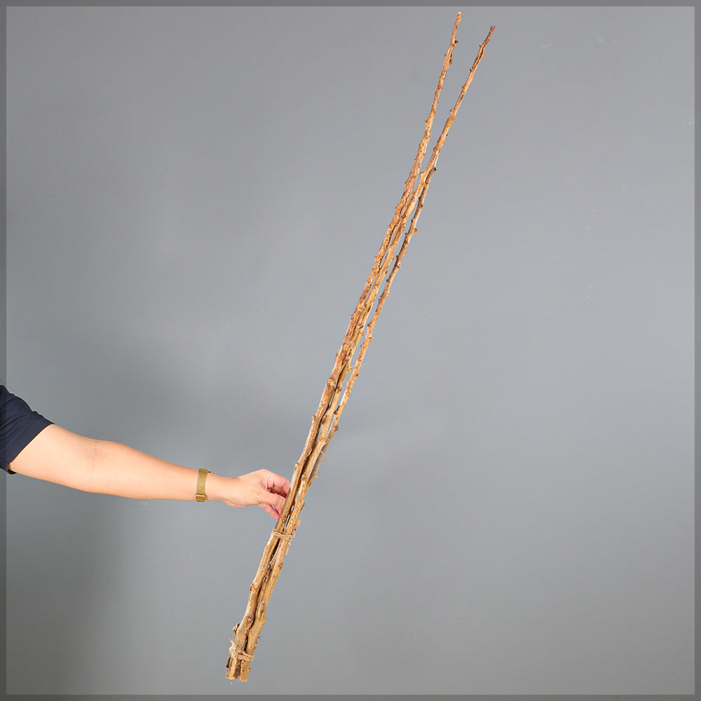 Natural Dried Decorative Twig Bundle