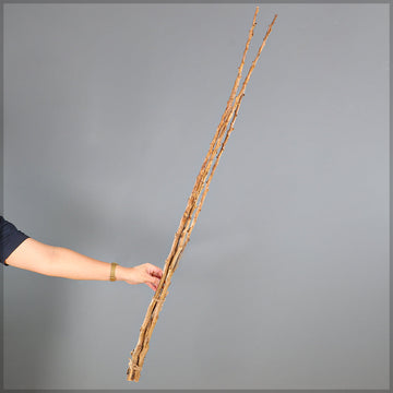 Natural Dried Decorative Twig Bundle