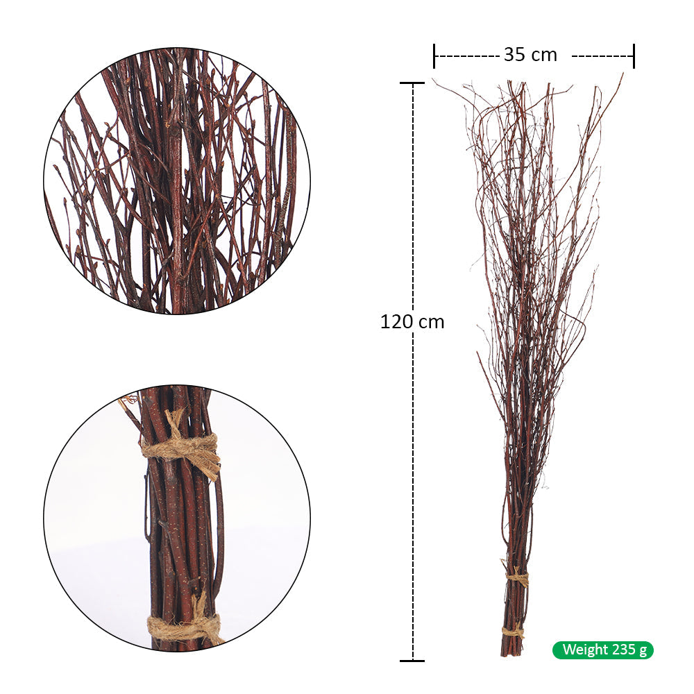 Decorative Bundle of Natural Birch Twigs