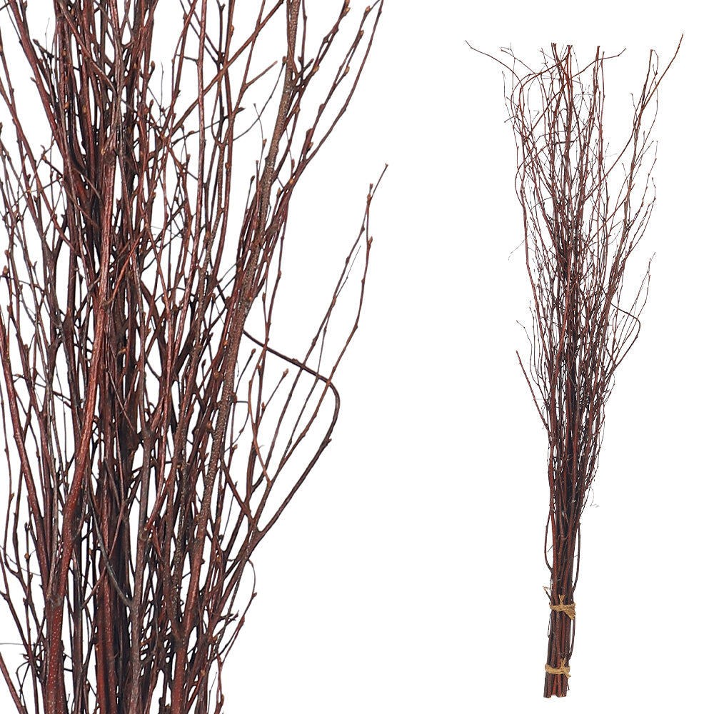 Decorative Bundle of Natural Birch Twigs