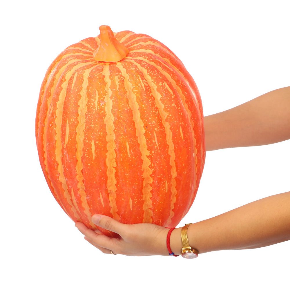 Lifelike Large  Pumpkin