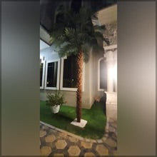 نباتات اصطناعية نباتات الزينة الداخلية عناصر الحديقة