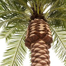 Large Artificial Phoenix Date Palm Tree