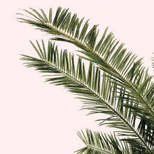 Large Artificial Phoenix Date Palm Tree