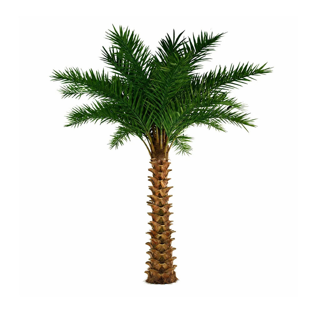 Premium Artificial Date Palm Tree