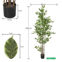 W-Green Artificial Ficus Plant 220cm Tall in Black Pot (Cream Plastic Pot not Included)