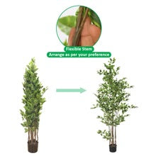 W-Green Artificial Ficus Plant 220cm Tall in Black Pot (Cream Plastic Pot not Included)