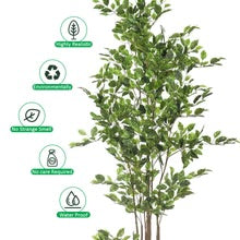 W-Green Artificial Ficus Plant 220cm Tall in Black Pot (Cream Plastic Pot not Included)