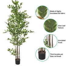 W-Green Artificial Ficus Plant 220cm Tall in Black Pot (Cream Plastic Pot not Included)