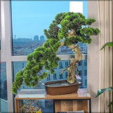 شجرة بونساي اصطناعية بوعاء